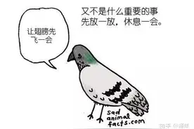 这些悲伤的动物冷知识，你知道吗？图片