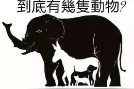 哈佛智力测试：图中共有几动物？3种傻，5种正常，7种以上是天才图片