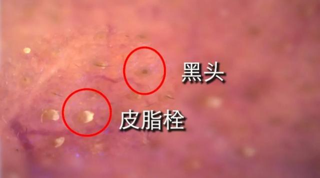 缇庡绫诲闀挎渶杩呯寷鐨勫崟鍝佹槸娓呮磥娉ヨ啘