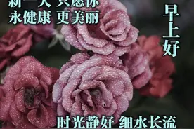 中老年表情包｜江湖就是人情世故，先知，先见，先行图片
