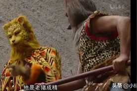 重温西游记，蠢萌花豹子精图片