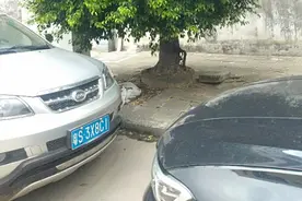 一个五岁的女孩子，被爸爸打死，图片
