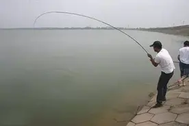 水库抛竿钓鱼技巧详细分析图片
