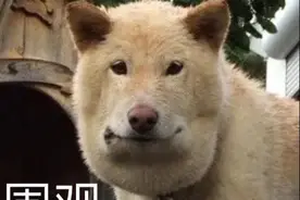 “高考结束被邻居弟弟表白”这小年轻的感情也太美好了吧图片