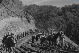 中国一条浸泡着鲜血的道路，从动工到通车共牺牲3万多人图片