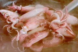 笔管鱼直接下锅煮就错了，难怪肉老咬不动，多加一步，鲜嫩又脆爽图片