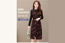 秋季新款气质优雅连衣裙显瘦图片