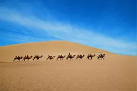 万国来朝！连欧洲也来上贡，然而有的故事太搞笑图片