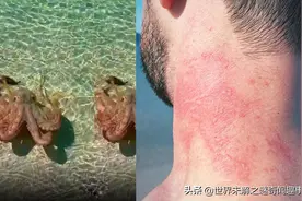 它们会威胁到人类吗？种种迹象表明：它们的智商已超乎人类想象图片