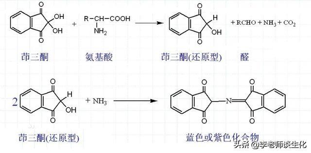 氨基酸的化学反应