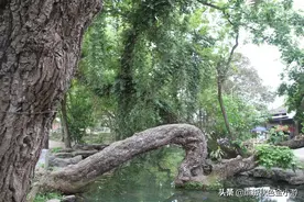 广西富川秀水出1位状元26位进士，被称为状元村，靠的是风水好？图片