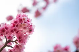 其实，女人彻底死心时，不会哭也不会闹图片