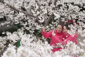 辽宁援鄂医疗队：赴樱花之约，续战疫深情图片