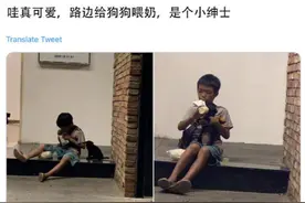 “超暖心男童”将自己为数不多的食物分给流浪狗走红，网友：绅士图片