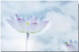 易经：人一旦能驾驭势能，心想之事，迟早实现，只是时间问题图片