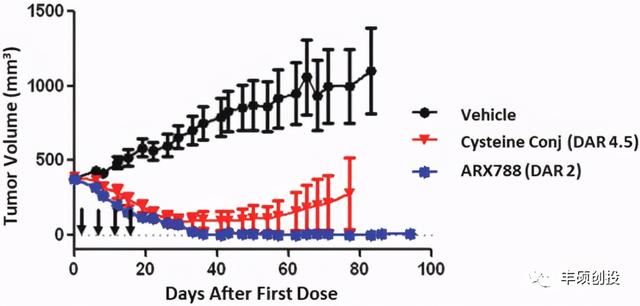 利用非天然氨基酸实现ADC 90%均一性的Ambrx Biopharma