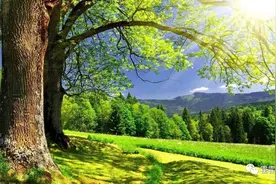 无灵主语句让你的写作由“静”变“动”（二）图片