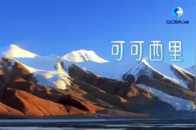 全球连线｜全面保护让中国可可西里12年无盗猎图片