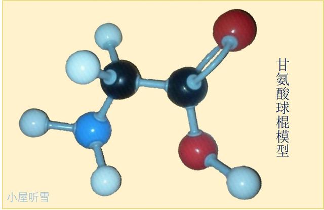 绐佺牬姘ㄥ熀閰哥粨鏋勯毦鐐癸紝杞绘澗鎺屾彙銆婄敓鍛芥椿鍔ㄧ殑鎵挎媴鑰呪€斺€旇泲鐧借川銆? onerror=