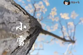 军医小茵｜今日小雪图片