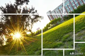 我的大学生活图片