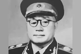 刘伯承病逝前真的委托华国锋向邓小平转述遗嘱？刘太行出面回应图片