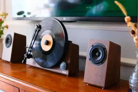 让生活充满仪式感：梵尼诗MORE Ⅱ立式分体黑胶唱机体验评测图片