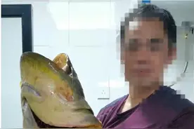 长1.5米，重50斤的鲶鱼王卖千元，因放生进退难两，为什么？图片