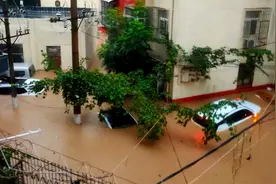 暴雨泡水勿惊慌，电动车没那么「娇贵」图片