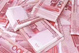 镇长和小保姆图片