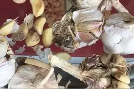 什么样的大蒜不能吃？记住了！这些都不能吃图片