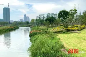 幸福生活很“蓉”易 | 当工业排污渠变身网红公园……图片