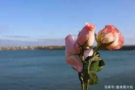 一旦爱了，就无法自拔的星座，一个深情，一个执着，一个死心眼图片