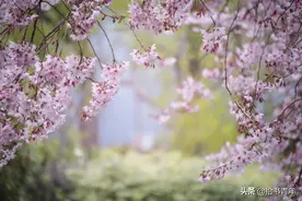做人宁可“自私”一点，也莫管这三种人，人生才会好过图片
