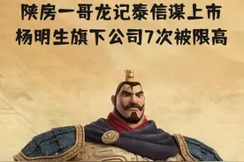 陕房一哥龙记泰信谋上市，杨明生旗下公司7次被限高图片