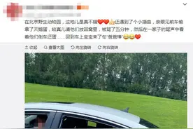那颗被拿走的天鹅蛋，天鹅妈妈还会再爱它一次吗？图片