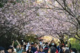 港媒：台资大幅回流是谎言，台湾商界认为大陆仍是重要市场图片