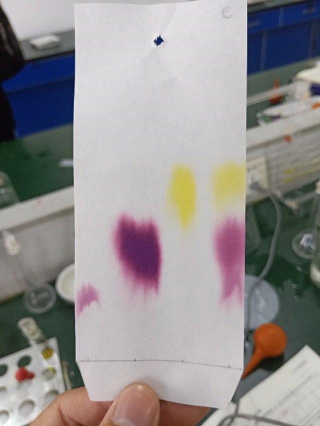 科研之眼系列：纸层析法