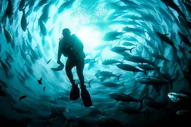 深入水下一万米，在海洋最深处的马里亚纳海沟，人类发现了什么？图片