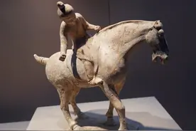 游动物园送东汉古墓，超值图片