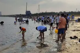 官宣！烟台七个赶海地点出炉图片