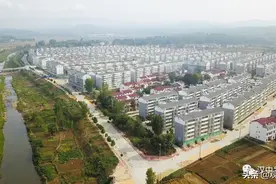 下绣花功夫，花最大气力！洋县交出了最优答卷图片