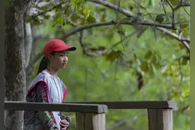 近距离接触凶狠的科莫多龙，如果被咬了怎么办？图片