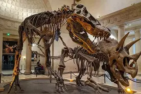 恐龙也有属于自己的八卦？《方舟生存进化》展示不一样的恐龙世界图片