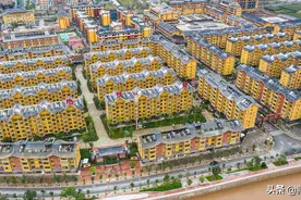 索玛花开幸福来——小凉山巨变记图片