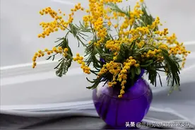 《百炼成钢：中国共产党的100年》第二十二集 胸中自有雄兵百万图片