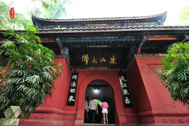载酒时作凌云游，乐山大佛图片