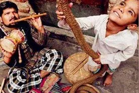 印度“通天术”是真实存在吗？男孩顺梯子爬上云层，消失后去哪了图片