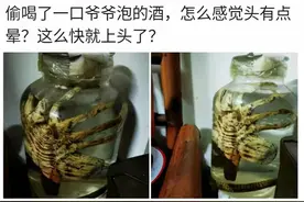 喝了一口爷爷泡的酒，后劲很足啊，现在头很晕，网友：准备后事吧图片