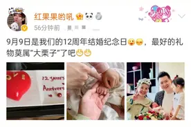 央视女主持产后首亮相！晒全家福庆结婚12年，女儿看弟弟眼神有爱图片